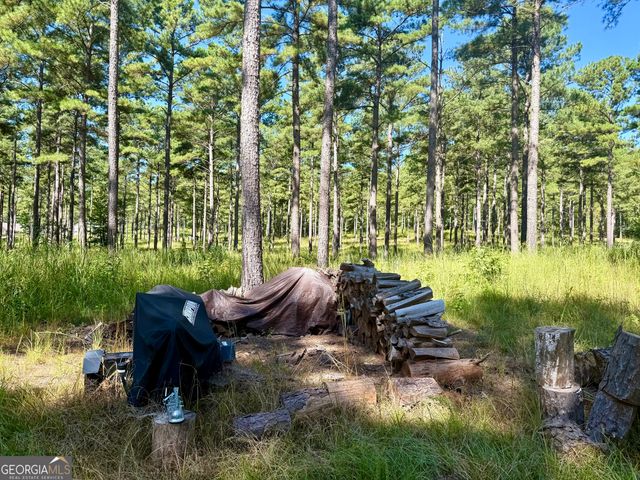 849 Orchard Road, Pine Mountain Valley, GA 31823