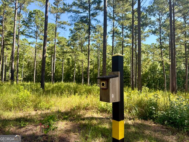 849 Orchard Road, Pine Mountain Valley, GA 31823