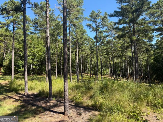 849 Orchard Road, Pine Mountain Valley, GA 31823