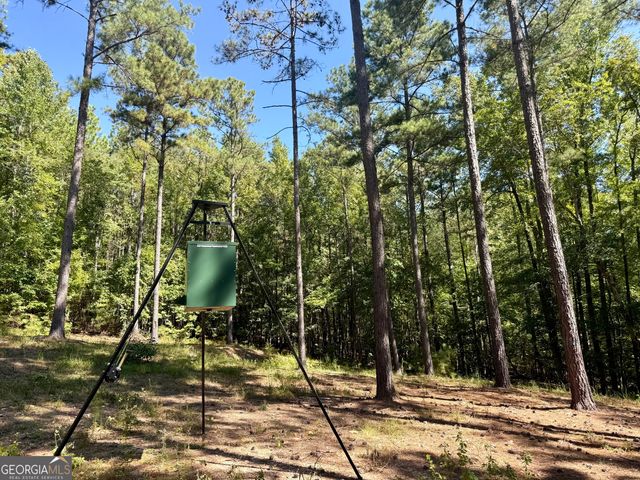 849 Orchard Road, Pine Mountain Valley, GA 31823