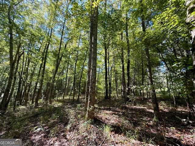 849 Orchard Road, Pine Mountain Valley, GA 31823