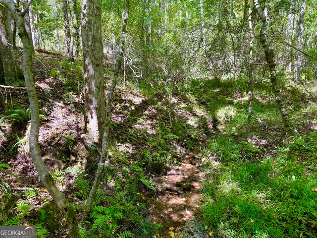 849 Orchard Road, Pine Mountain Valley, GA 31823