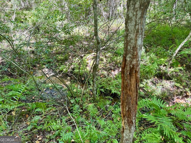 849 Orchard Road, Pine Mountain Valley, GA 31823