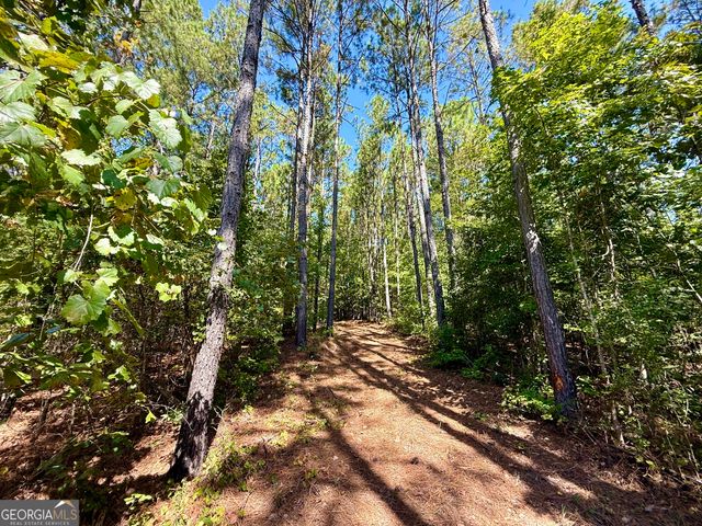 849 Orchard Road, Pine Mountain Valley, GA 31823