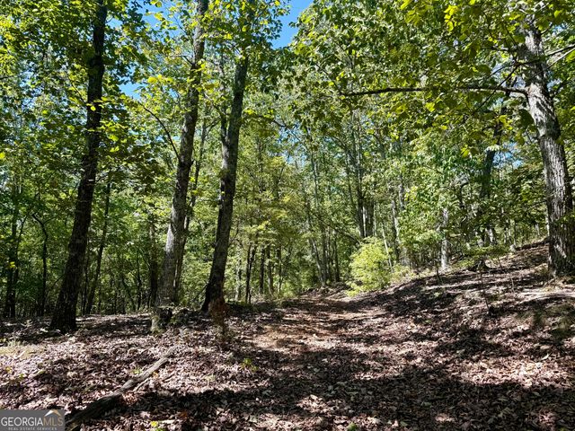 849 Orchard Road, Pine Mountain Valley, GA 31823