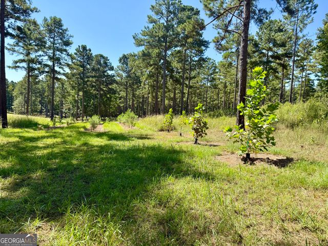 849 Orchard Road, Pine Mountain Valley, GA 31823