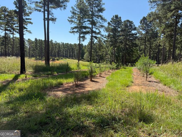 849 Orchard Road, Pine Mountain Valley, GA 31823