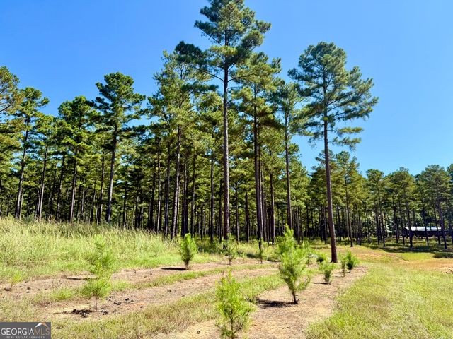 849 Orchard Road, Pine Mountain Valley, GA 31823