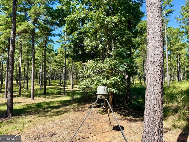 849 Orchard Road, Pine Mountain Valley, GA 31823