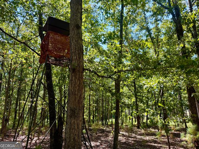 849 Orchard Road, Pine Mountain Valley, GA 31823