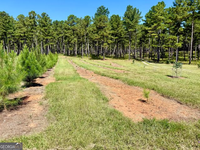 849 Orchard Road, Pine Mountain Valley, GA 31823