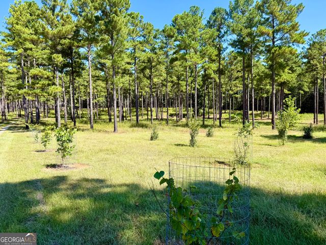 849 Orchard Road, Pine Mountain Valley, GA 31823