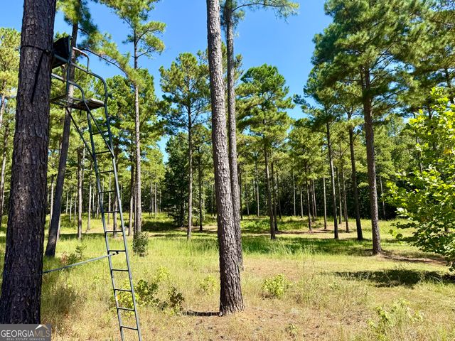 849 Orchard Road, Pine Mountain Valley, GA 31823