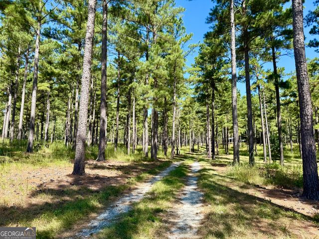 849 Orchard Road, Pine Mountain Valley, GA 31823