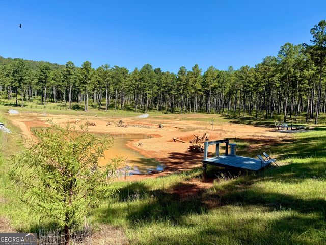 849 Orchard Road, Pine Mountain Valley, GA 31823