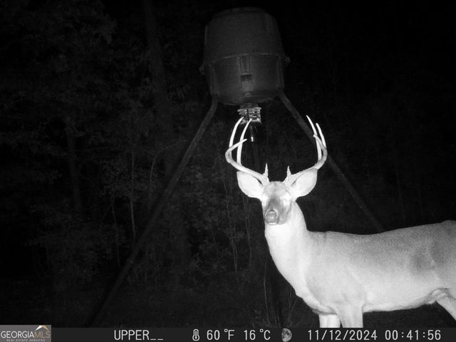 849 Orchard Road, Pine Mountain Valley, GA 31823