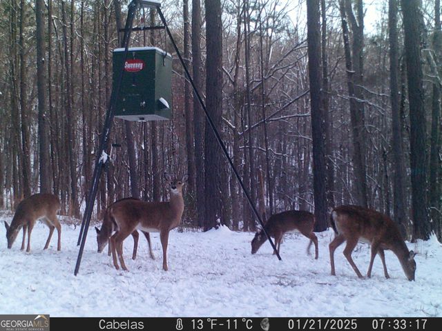 849 Orchard Road, Pine Mountain Valley, GA 31823