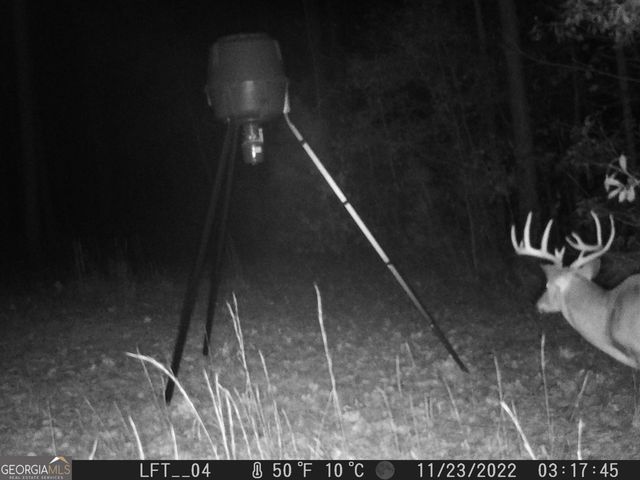 849 Orchard Road, Pine Mountain Valley, GA 31823