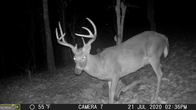 849 Orchard Road, Pine Mountain Valley, GA 31823