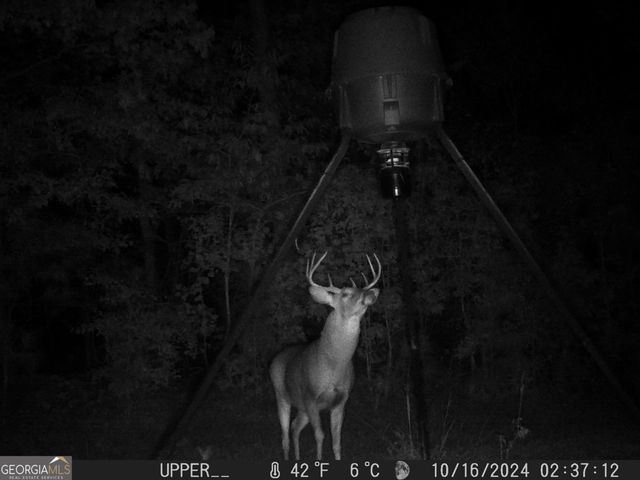 849 Orchard Road, Pine Mountain Valley, GA 31823