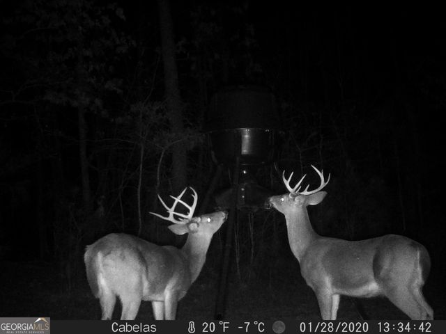 849 Orchard Road, Pine Mountain Valley, GA 31823