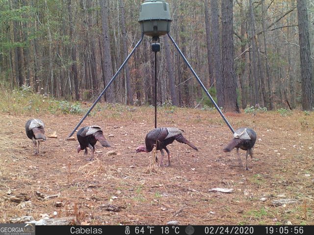 849 Orchard Road, Pine Mountain Valley, GA 31823