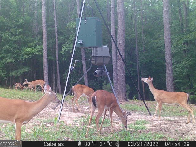 849 Orchard Road, Pine Mountain Valley, GA 31823