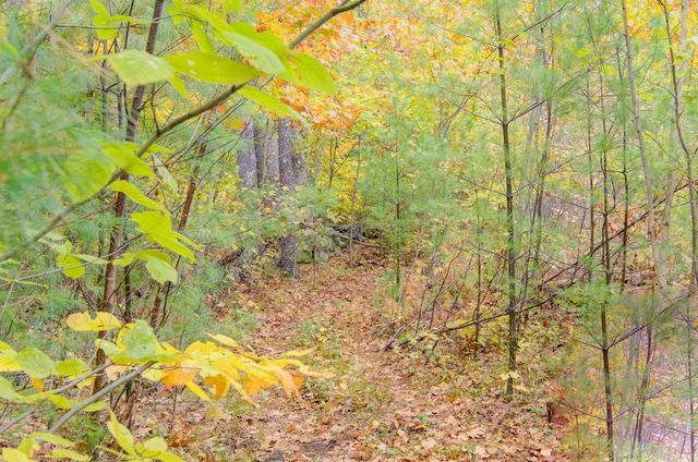 69 College Road, Wolfeboro, NH 03894