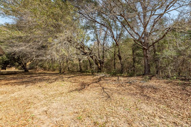 1124 Sallie Manigault Lane, Mcclellanville, SC 29458