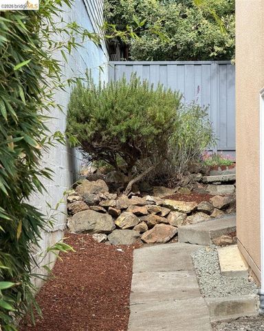 355 Arlington Ave, Berkeley, CA 94707