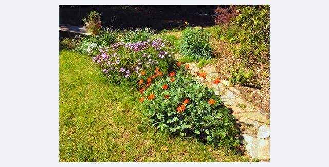 1280 Grant Road, Los Altos, CA 94024