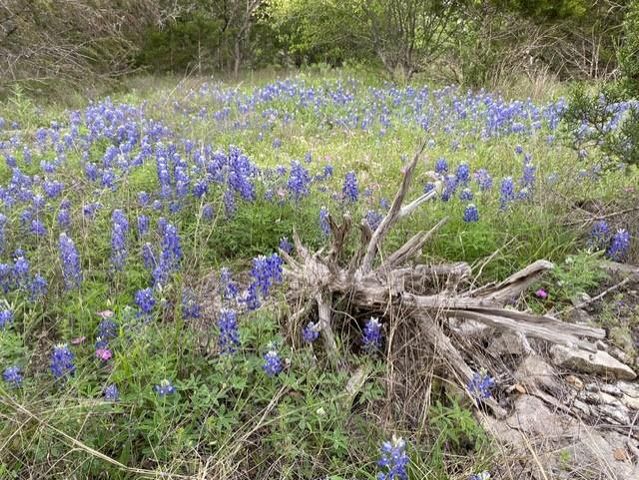 1365 Pedernales Hills RD, Johnson City, TX 78636