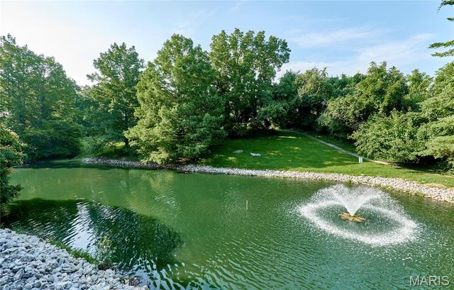 1937 Greenpoint Drive 304, Kirkwood, MO 63122