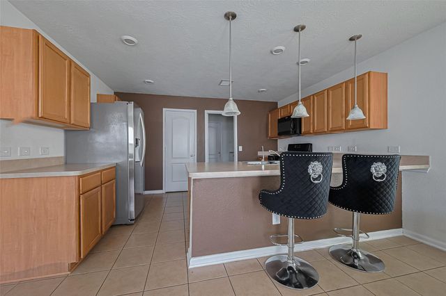 19229 Gunther Springs Court, Houston, TX 77073