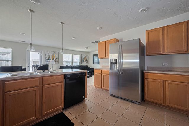 19229 Gunther Springs Court, Houston, TX 77073