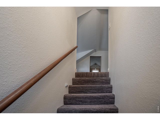 198 Poudre River Rd, Bellvue, CO 80512