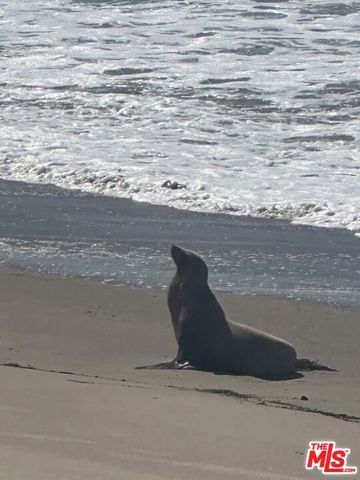 29500 Heathercliff Road 16, Malibu, CA 90265