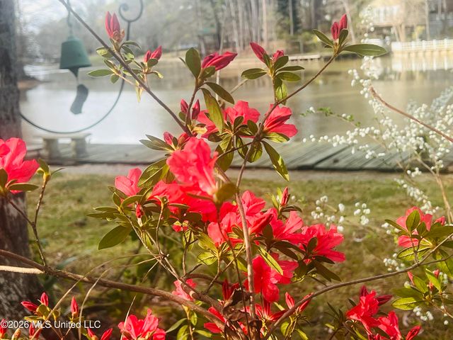 402 Glen Cove Road, Brandon, MS 39047