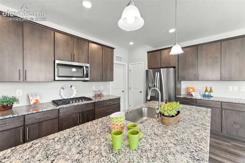 5804 Wild Rye Drive, Colorado Springs, CO 80919 — photo 3