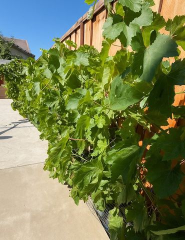 8491 Pinehollow Cir, Discovery Bay, CA 94505