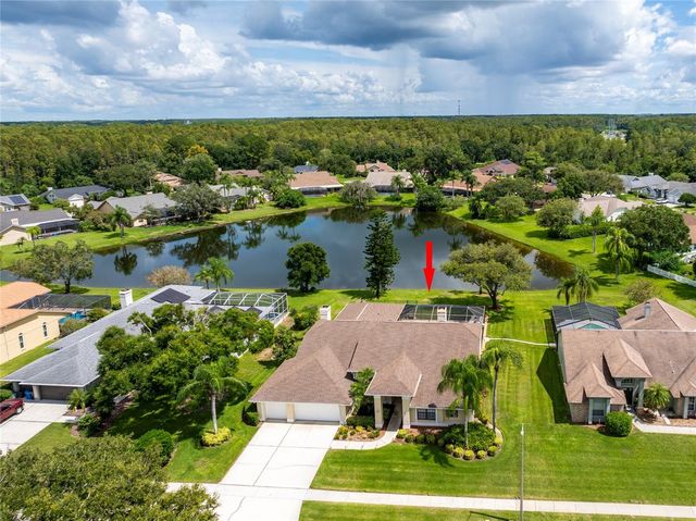 17509 TALLY HO COURT, Odessa, FL 33556