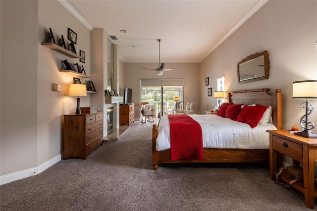 17509 TALLY HO COURT, Odessa, FL 33556