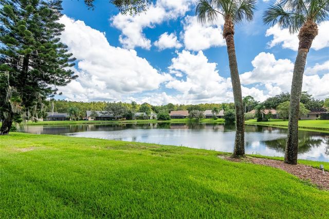 17509 TALLY HO COURT, Odessa, FL 33556