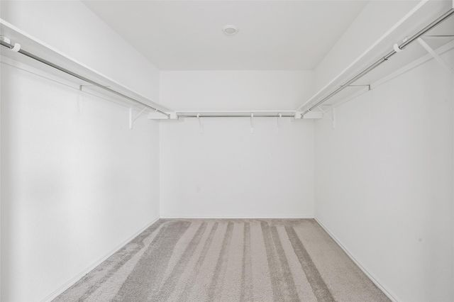 14120 Purple Azalea DR, Pflugerville, TX 78660