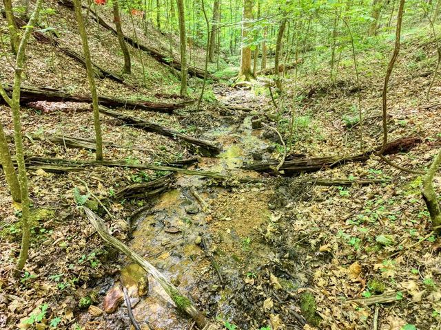 343 Haines Mountain Road, Blairsville, GA 30512