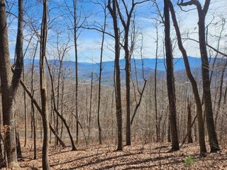 #28 Overlook Loop, Young Harris, GA 30582
