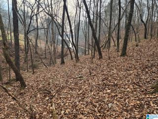 MAYS BEND DRIVE, Pell City, AL 35128