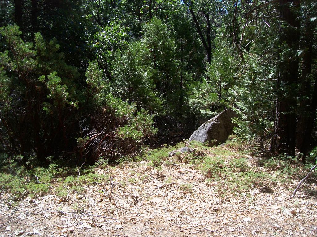 Image 1 of property listing at Highway 190, Cedar Slope, CA 93265