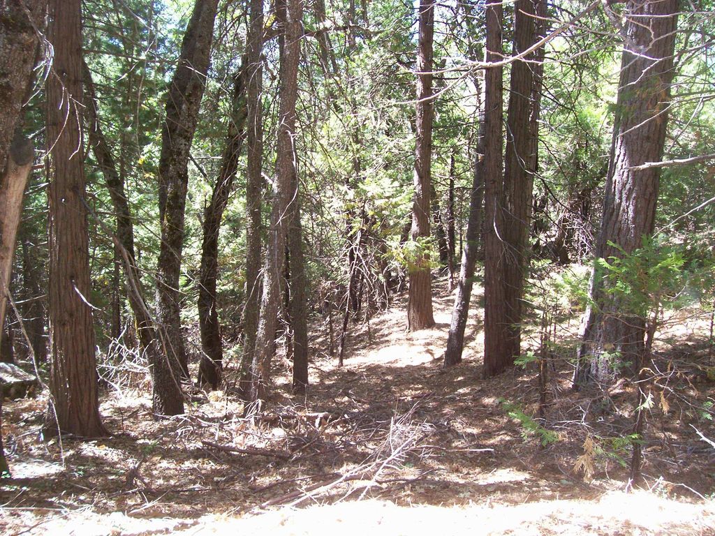 Image 2 of property listing at Highway 190, Cedar Slope, CA 93265