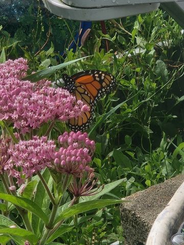 857 South St, Bridgewater, MA 02324